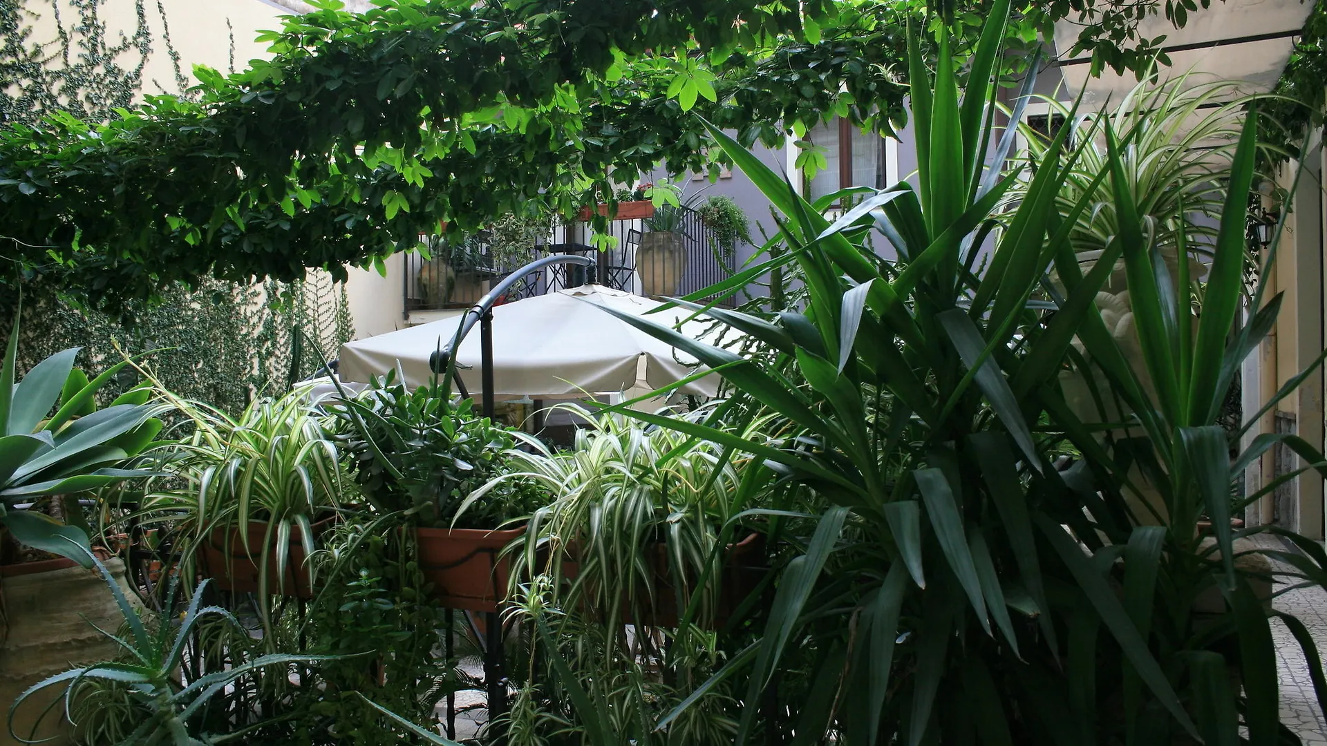 Casa Barbero Charme B&B Catania Italy