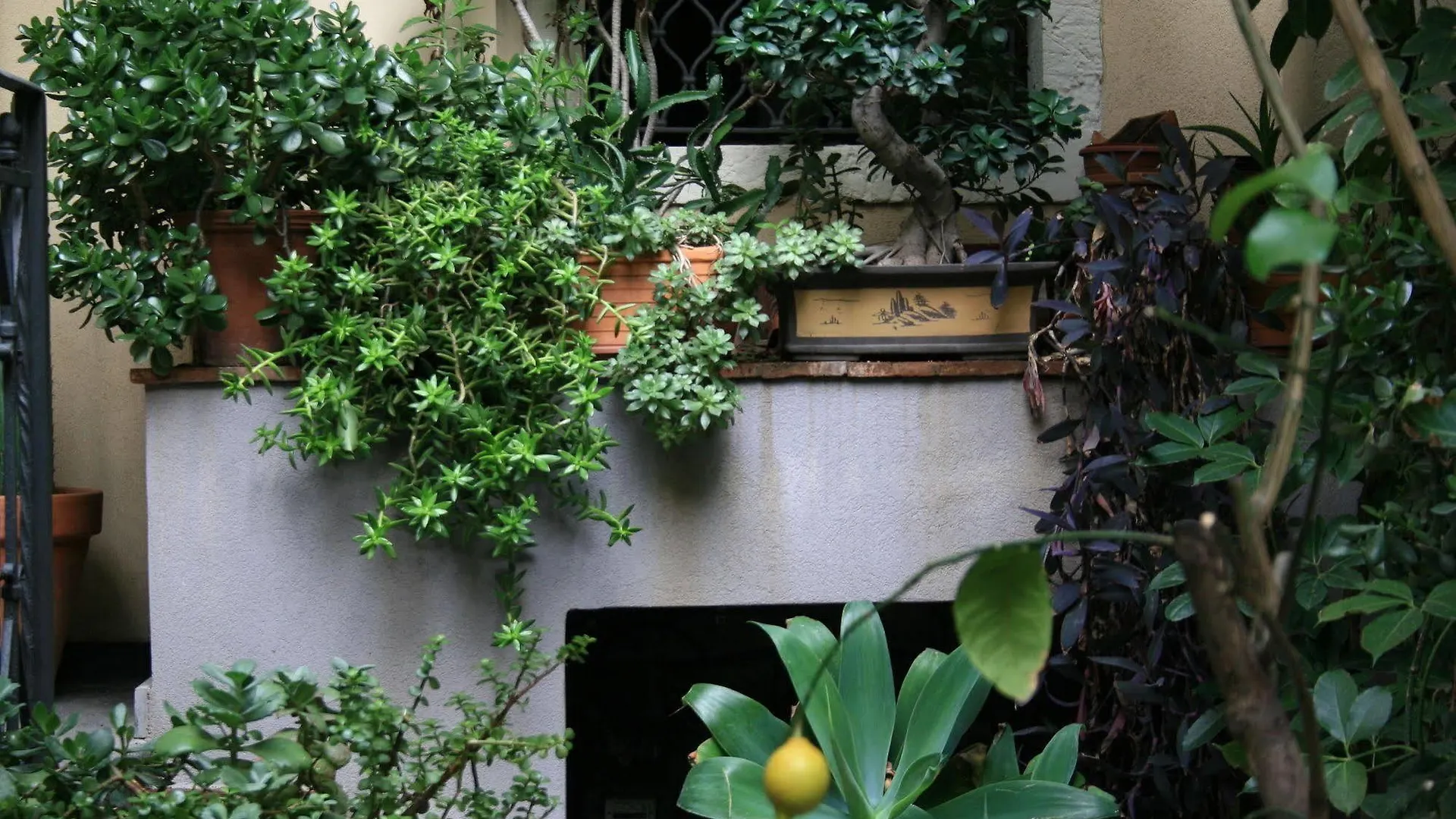 Casa Barbero Charme B&B Catania